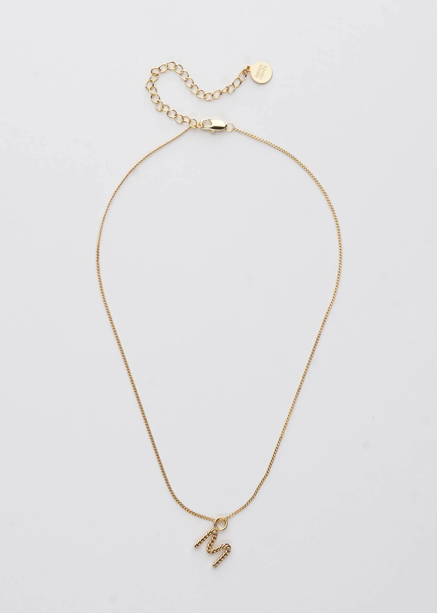 Aspen Initial Mini Necklace: Holiday Favorite!: S / 14"+3" - Image 6