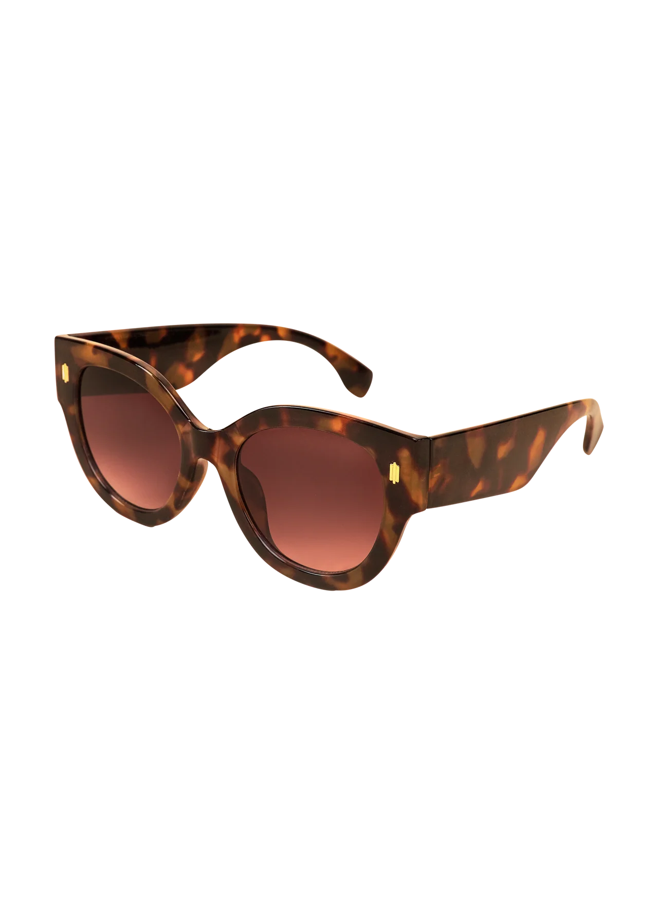 Bailey in Tortoiseshell