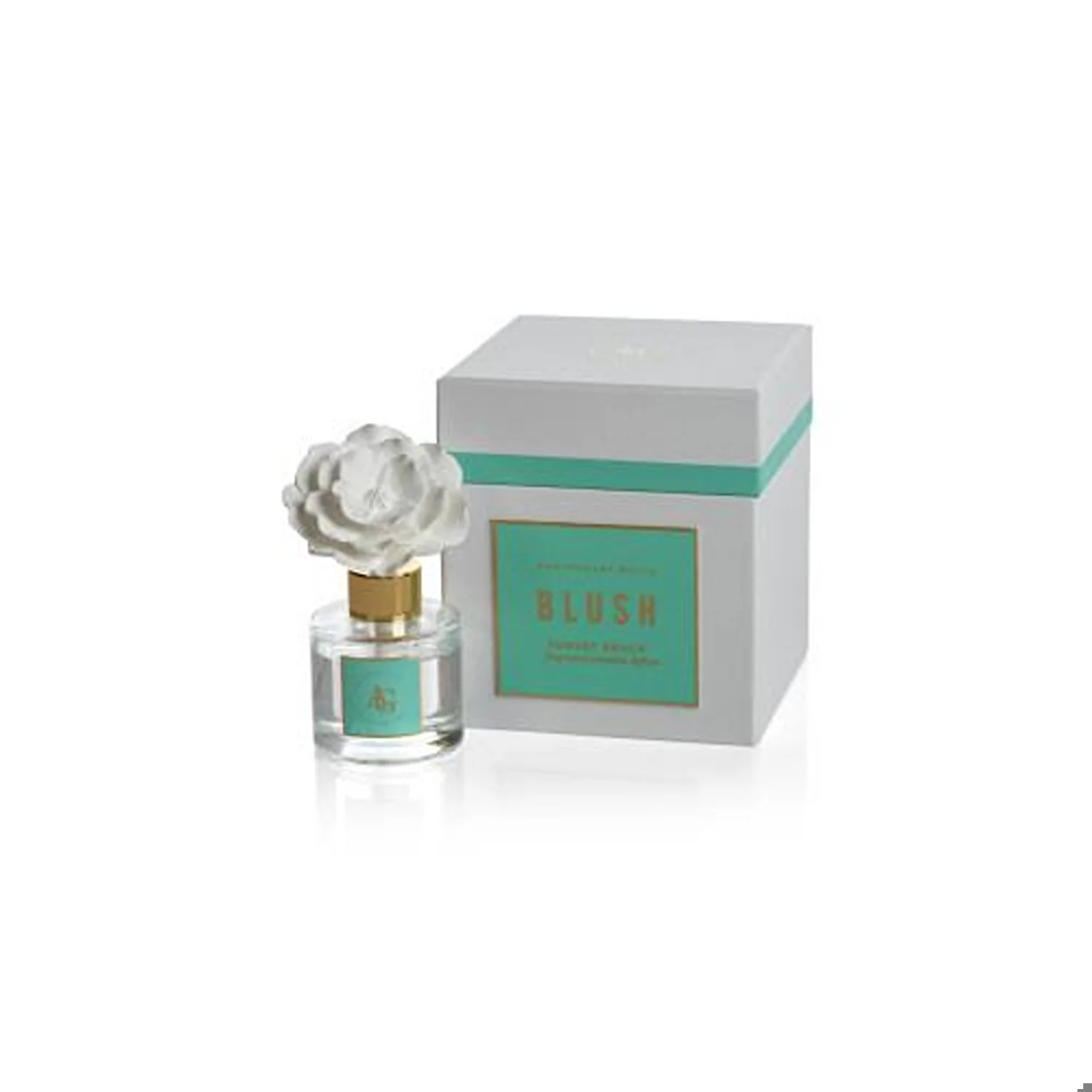 Blush Porcelain Diffuser - Image 3