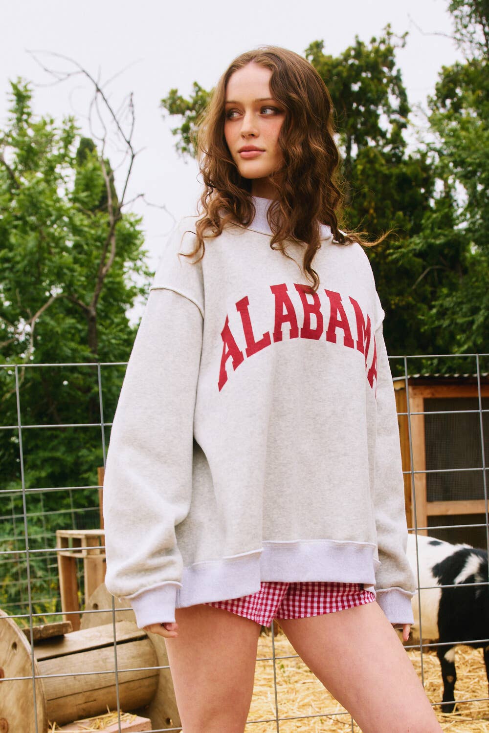 BUCKETLIST - IT2594-ALABAMA 'ALABAMA & AL Reversible Sweatshirt: Heather grey / S/M-L/XL (3-3) - Image 5