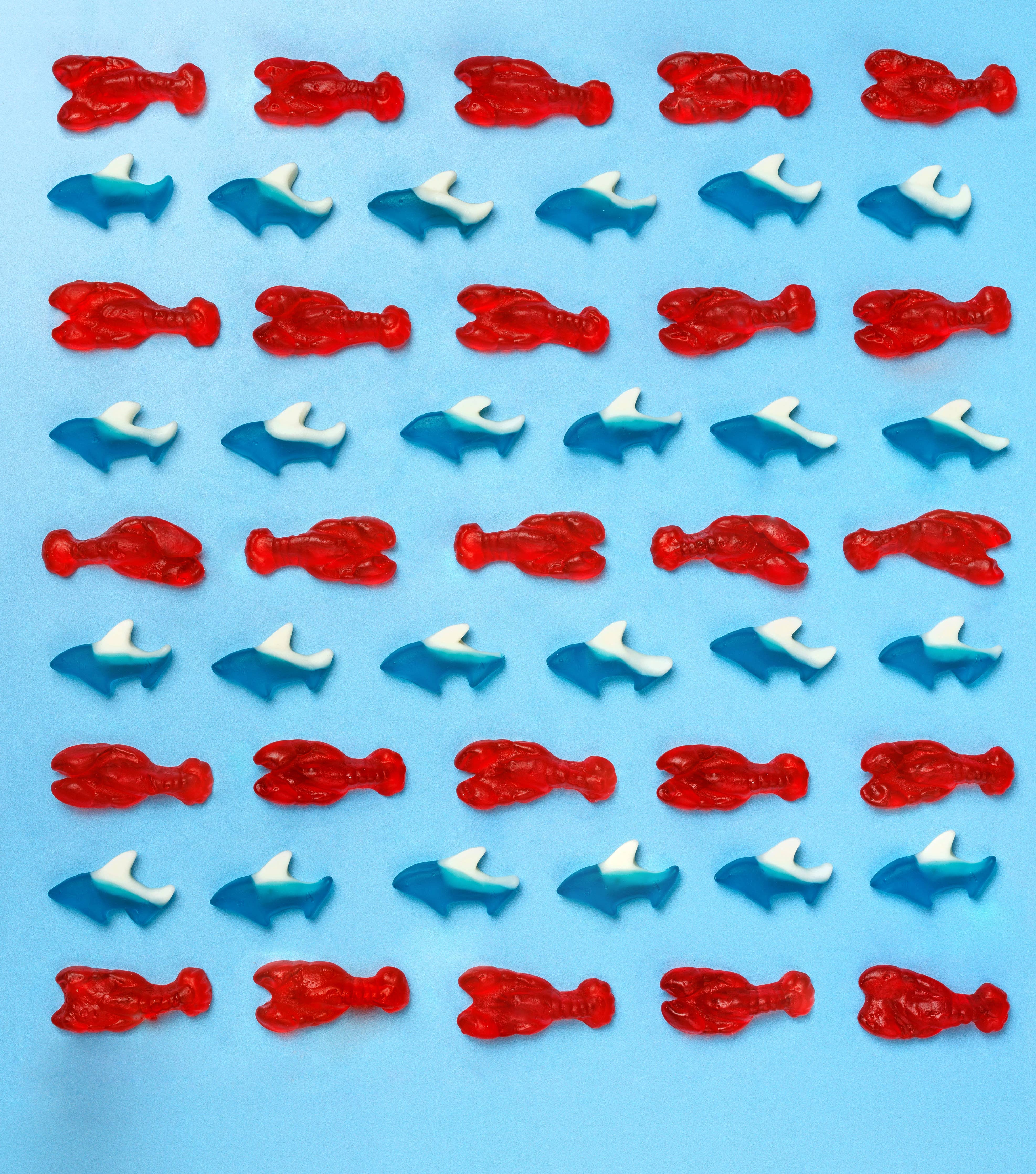 Candy Club - Sea Sharks - Image 4
