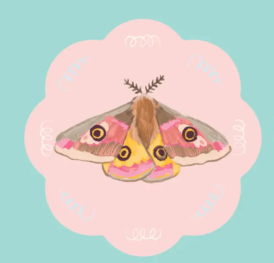 Coaster Sweet Insects - Image 2