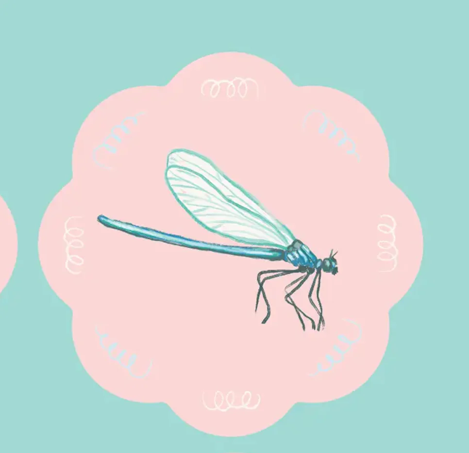 Coaster Sweet Insects - Image 3