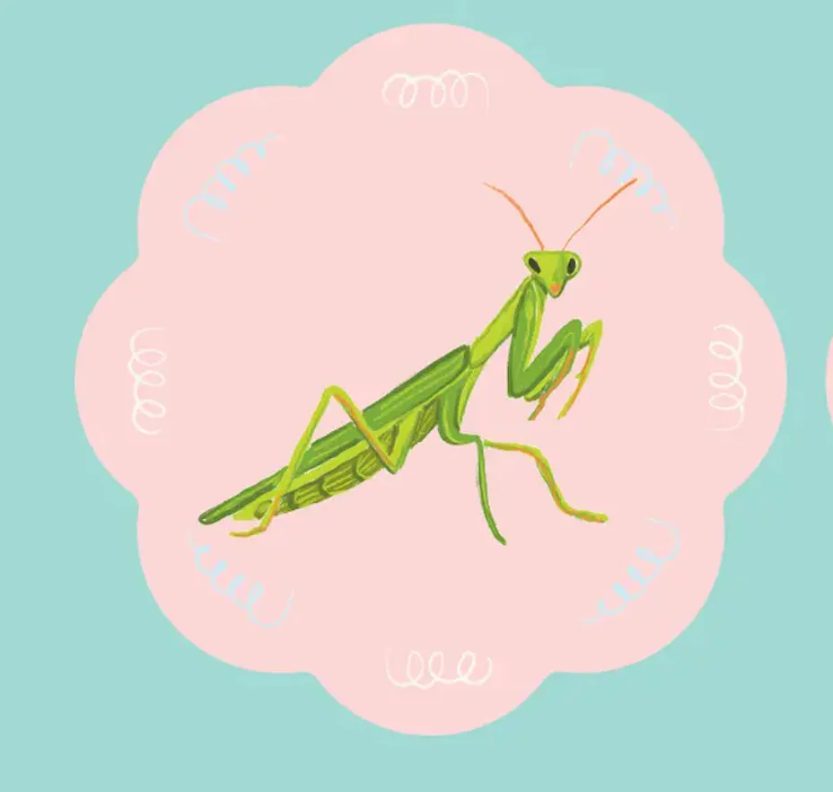 Coaster Sweet Insects - Image 4