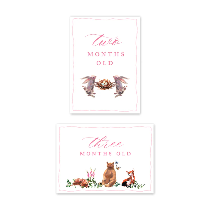 Dogwood Hill - Woodland Pink Milestone Cards: Milestone Cards - Set of 15 - Image 3