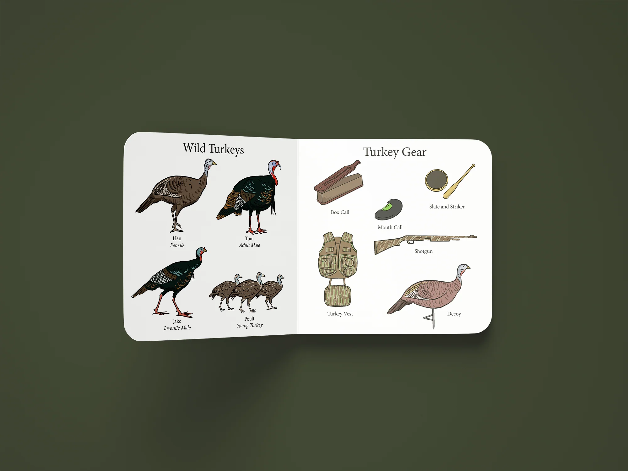 Explore the Outdoors Books - Turkey Season Children's Book - Image 3