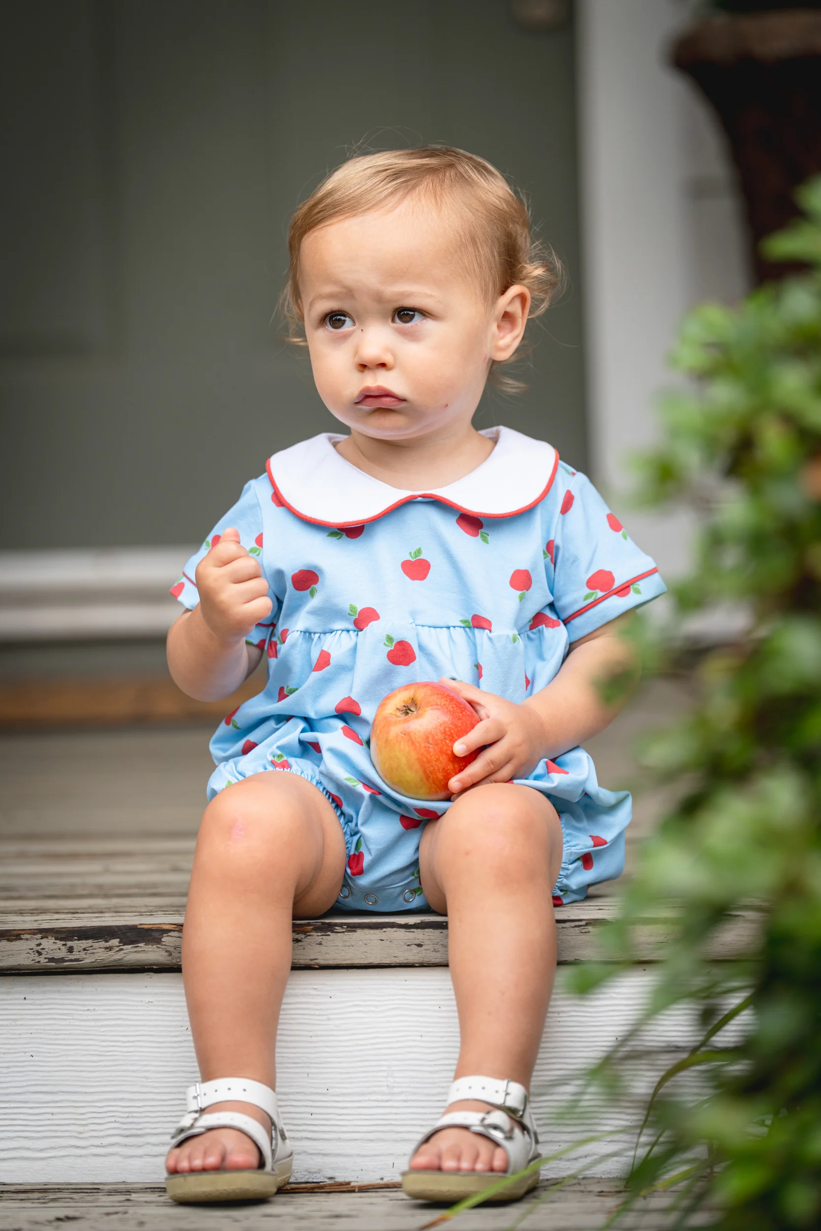 Hank Schoolhouse Apples Bubble - Image 2