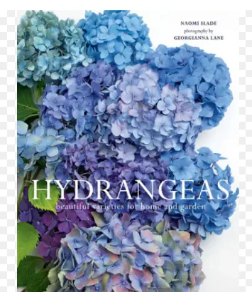 Hydrangeas