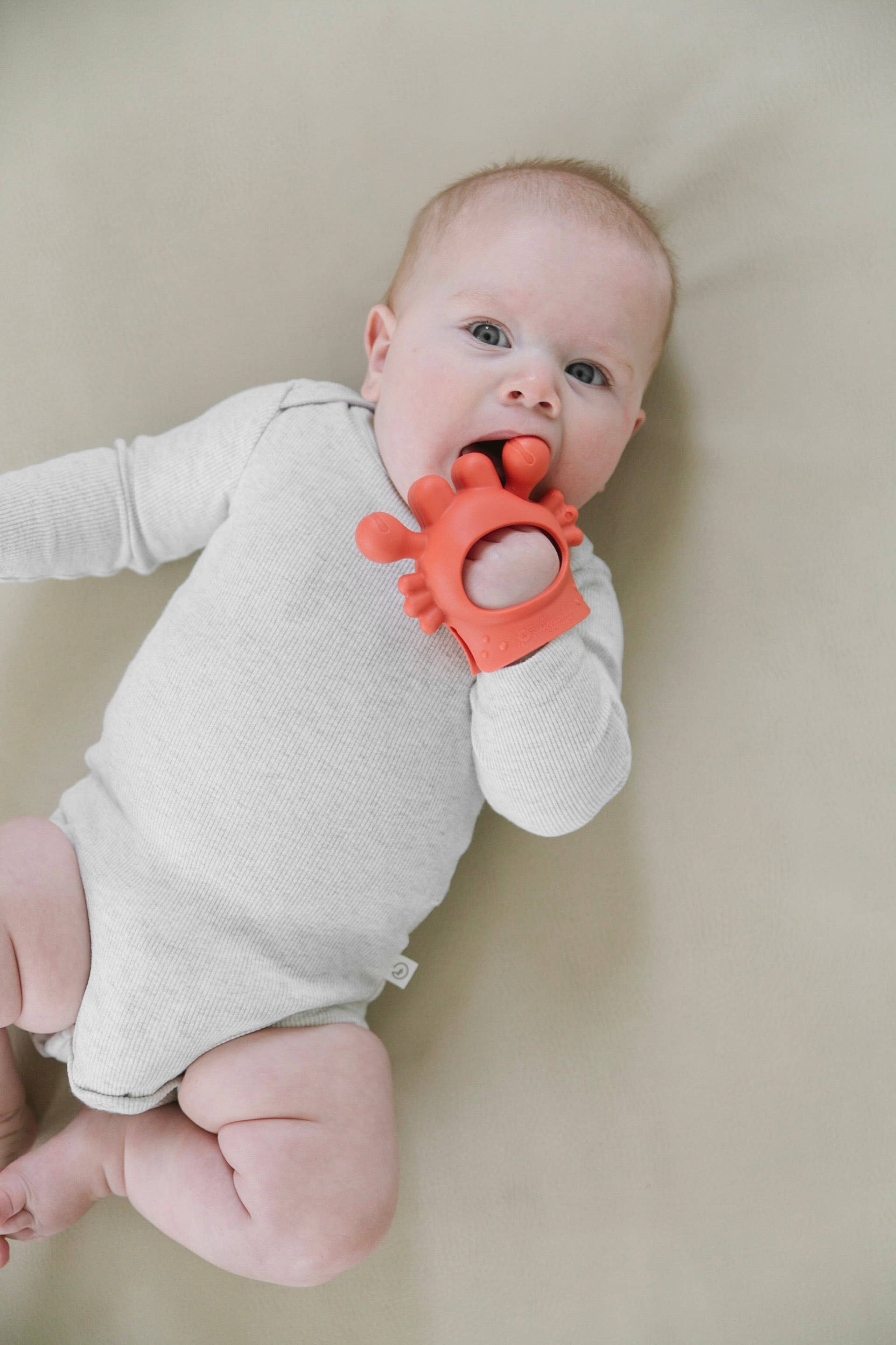 Itzy Ritzy - *NEW* Crab Bitzy Grip™ - Image 12