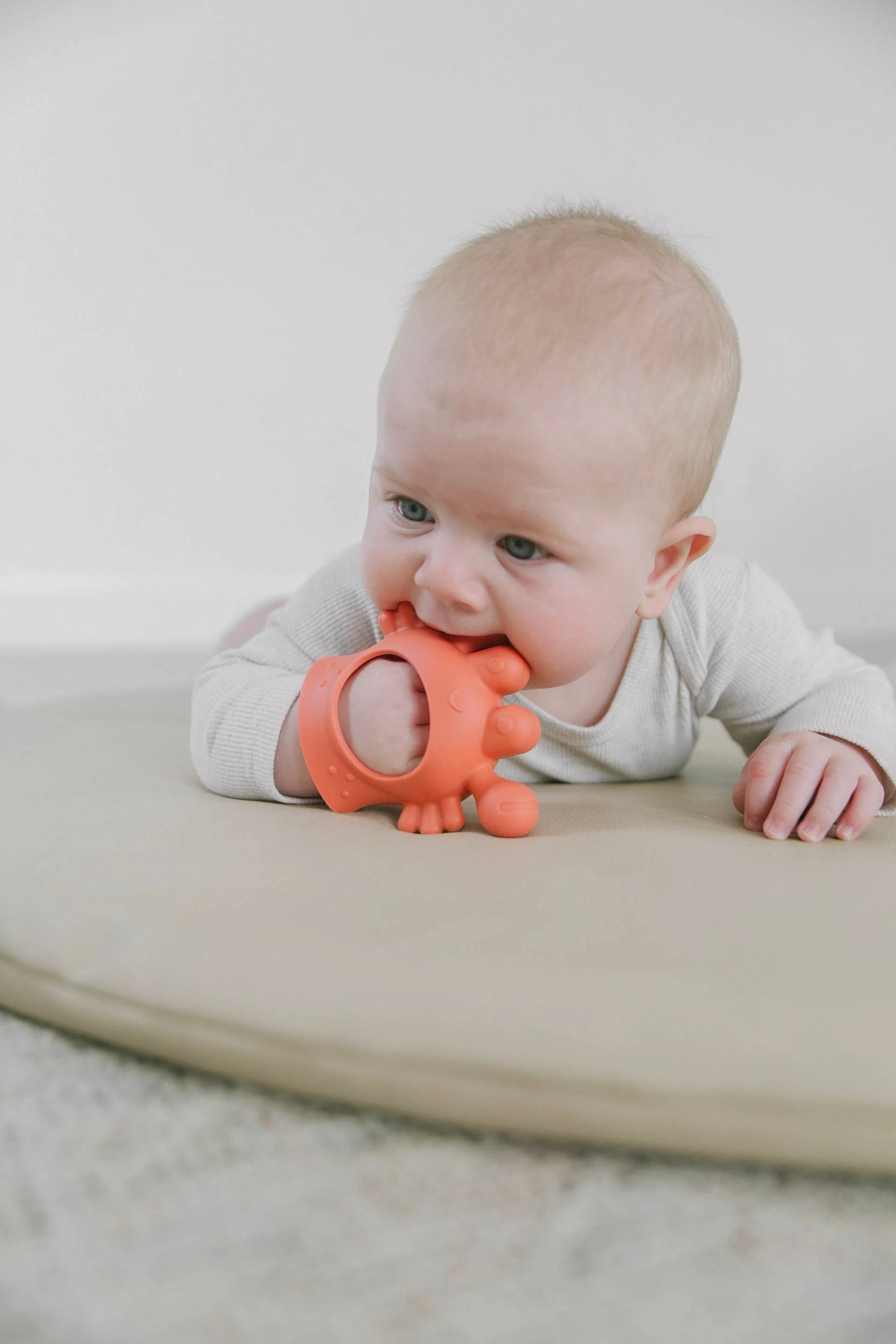 Itzy Ritzy - *NEW* Crab Bitzy Grip™ - Image 13