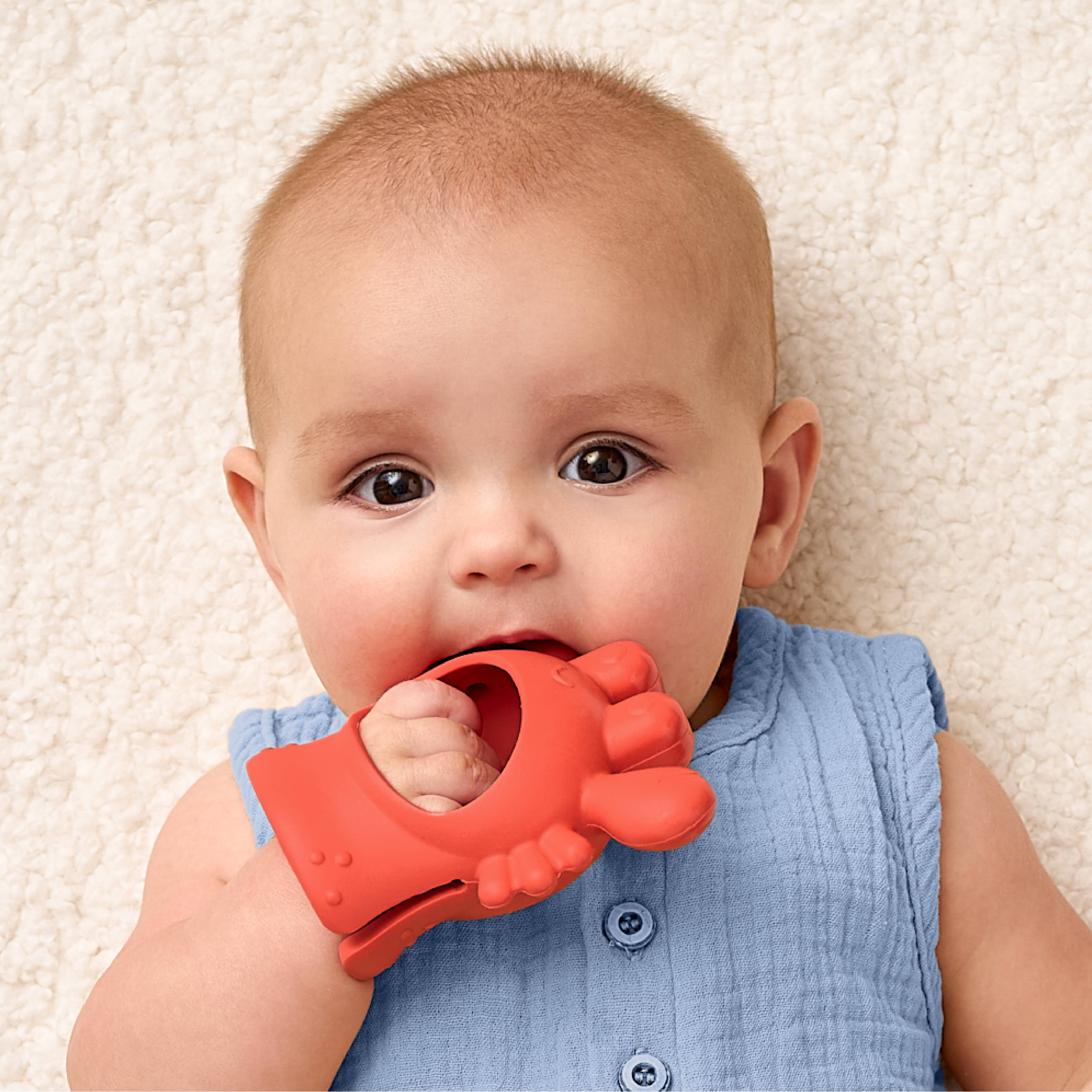 Itzy Ritzy - *NEW* Crab Bitzy Grip™ - Image 3
