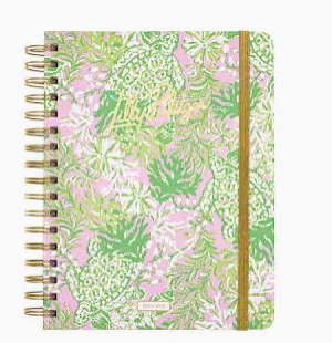 Large 17 Month Agenda- Beach Cruiser