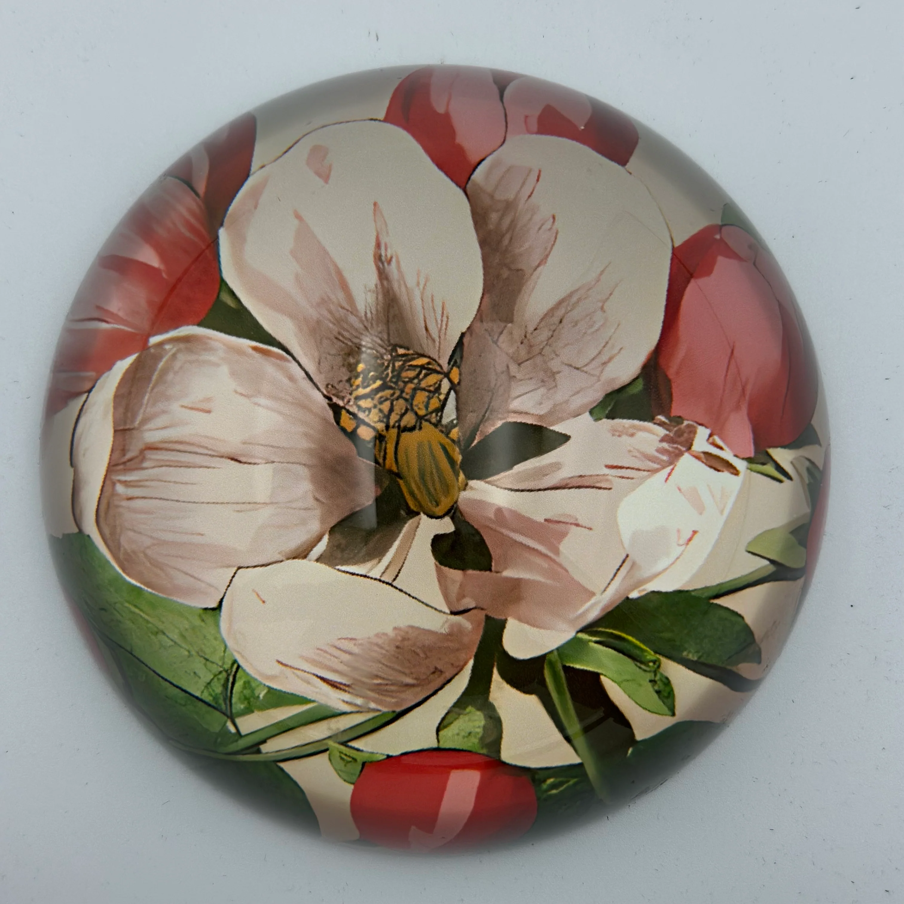 MAGNOLIA
