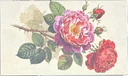 Matchbox - Image 5