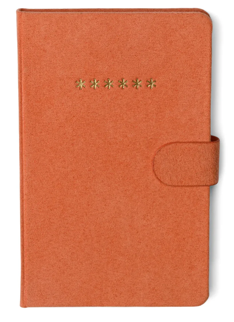 Mini Password Journal- Asterisks