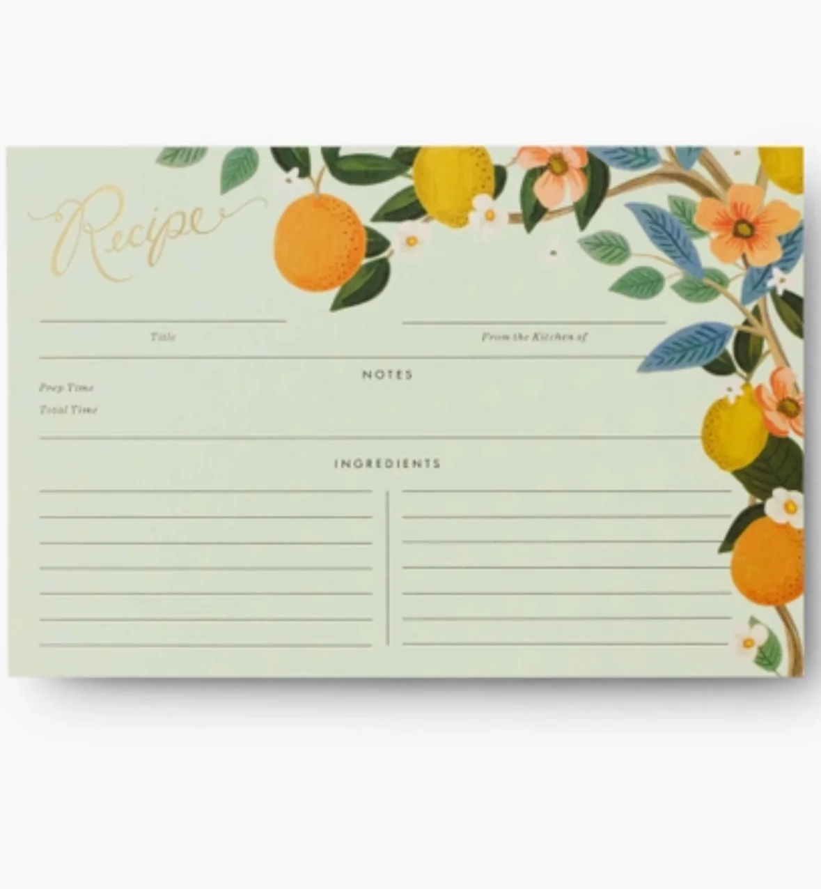 Pack of 12 Citrus Grove Recipe Card - Rifle Paper Co