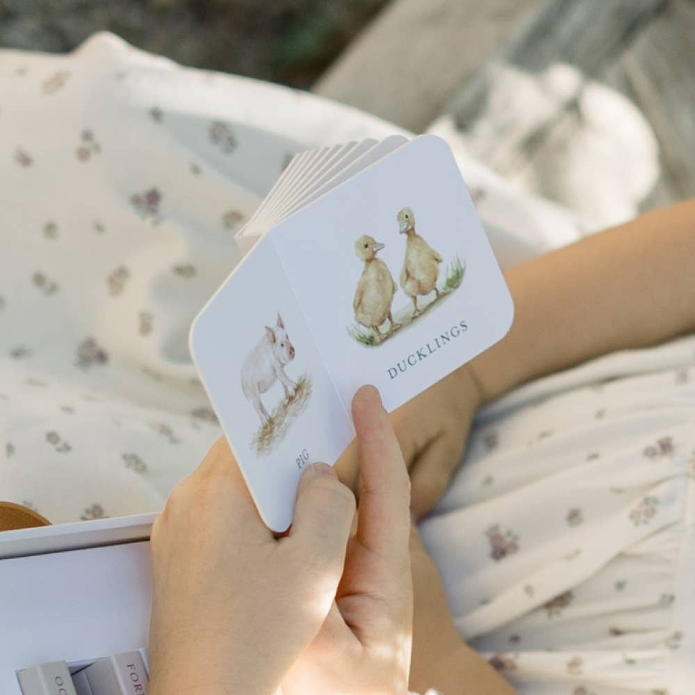Paige Tate & Co. - Our Very Little Library Board Book Set (Easter Gifts) - Image 4