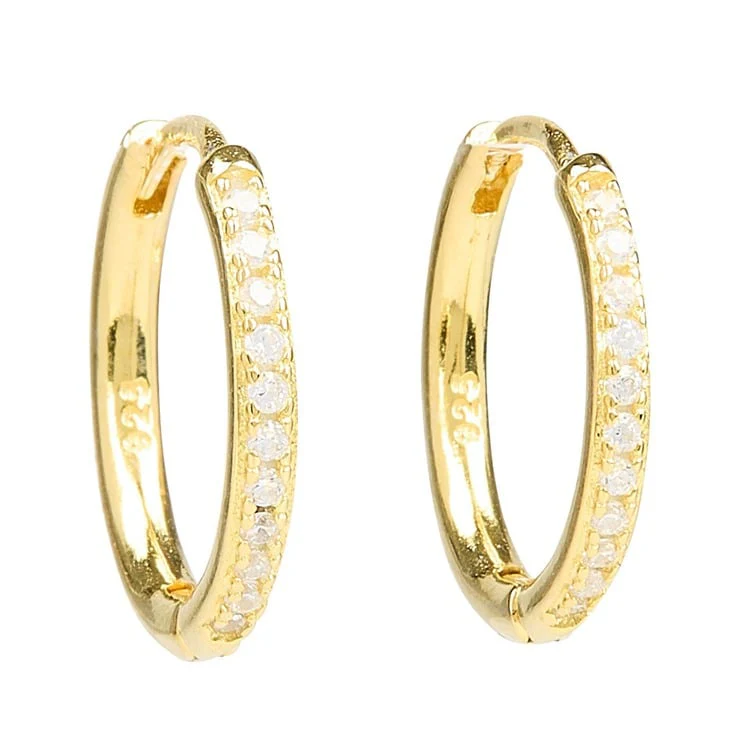 PavA cz mini hoops