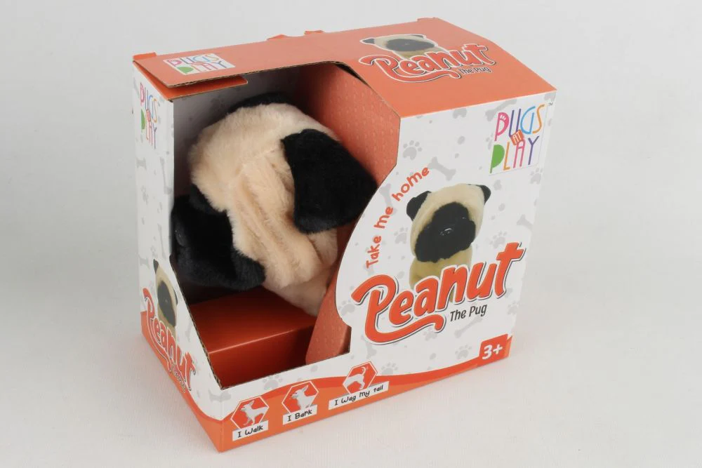 PUGS AT PLAY PEANUT WALKING DOG