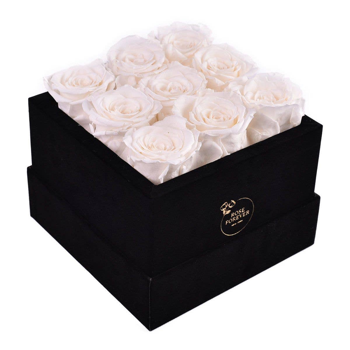 Rose Forever - Essential Black Velvet White