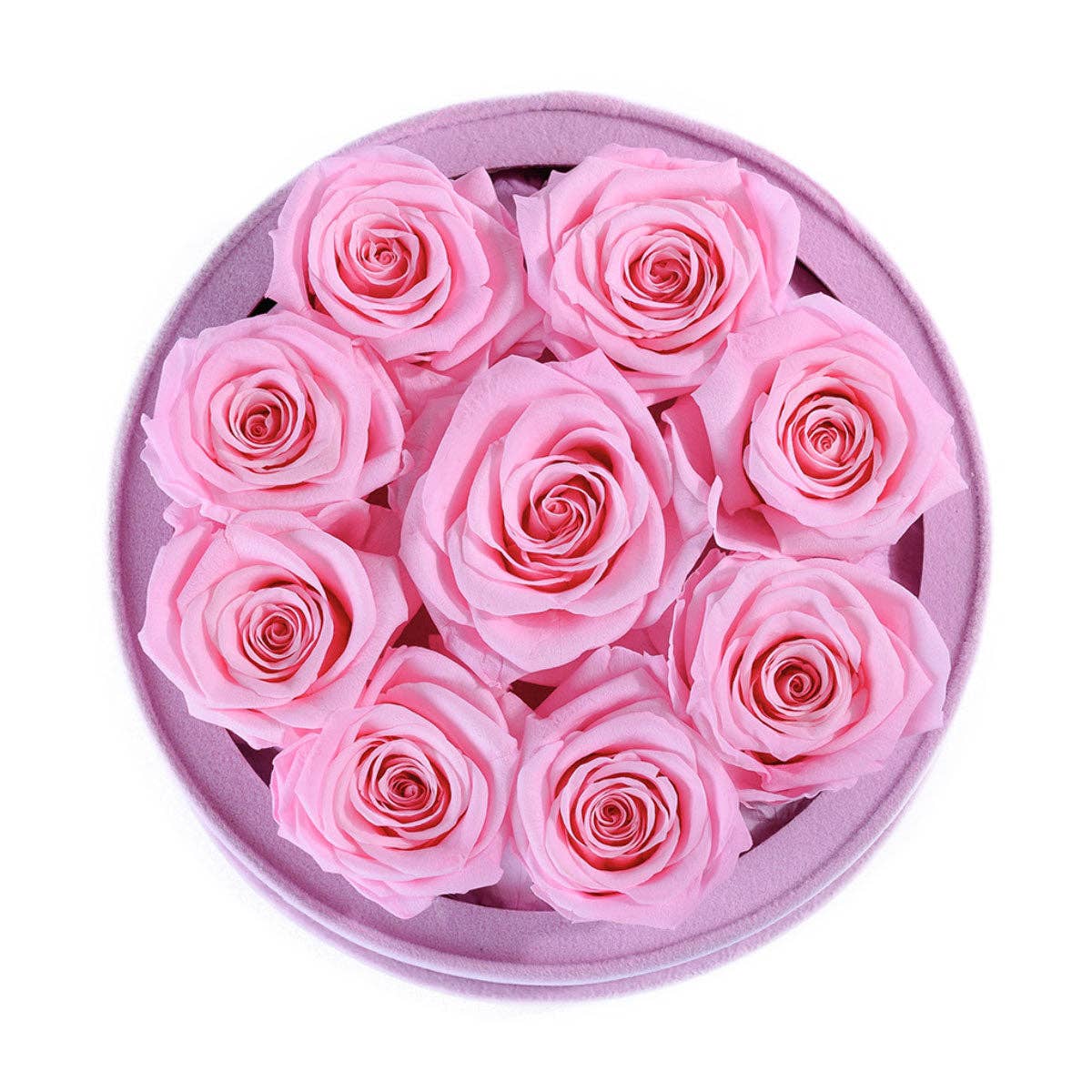 Rose Forever - Essential Pink Suede Pearl Pink 9 - Image 2