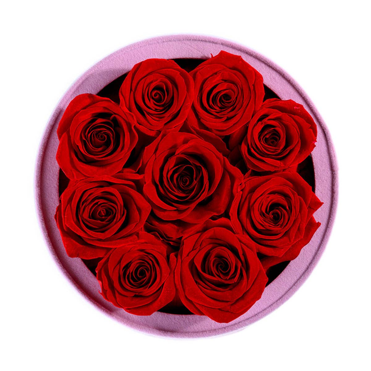 Rose Forever - Essential Pink Suede Red 9 - Image 3