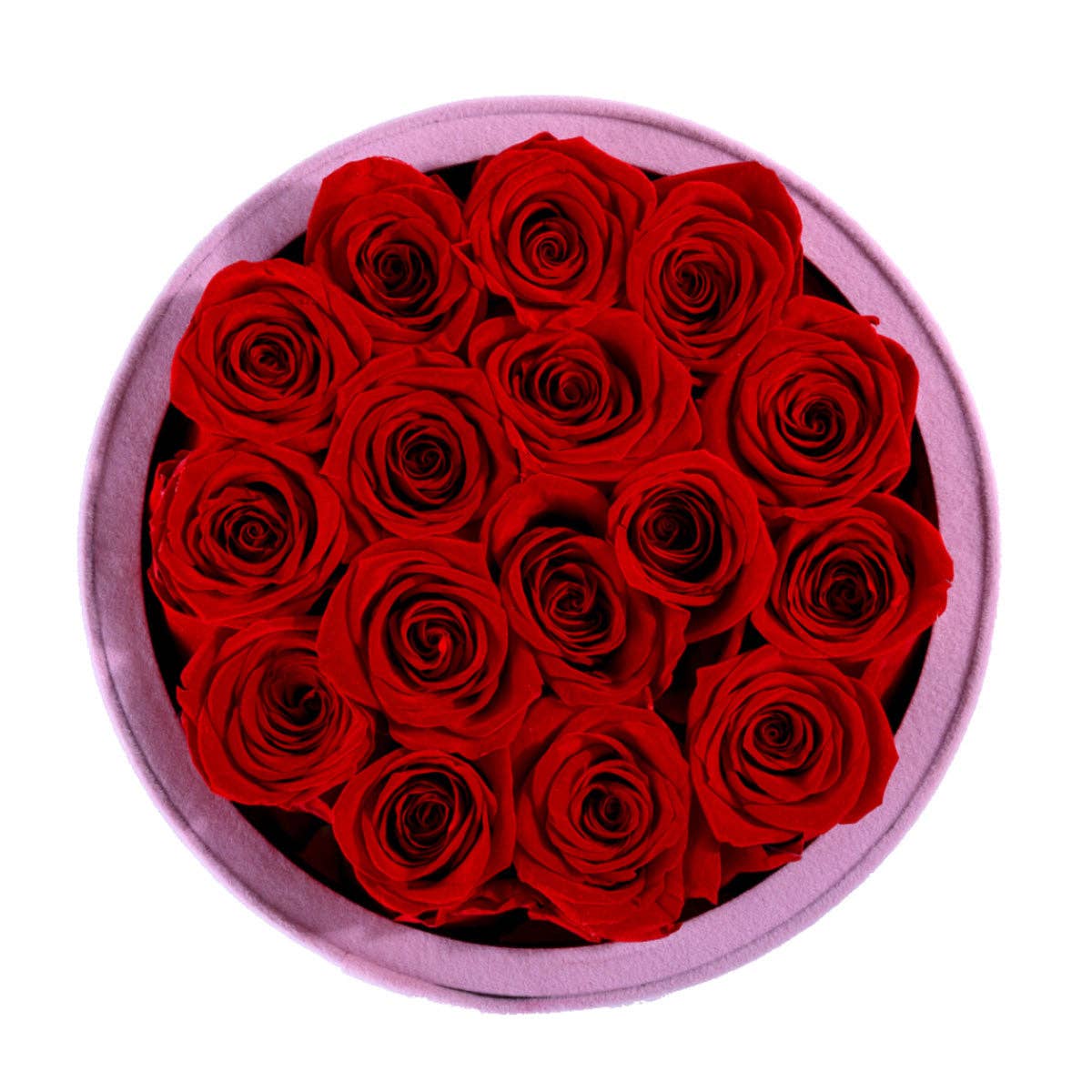 Rose Forever - Passion Pink Suede Red 16 - Image 2