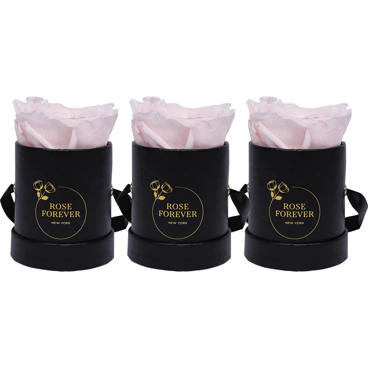 Rose Forever - Pink roses mini