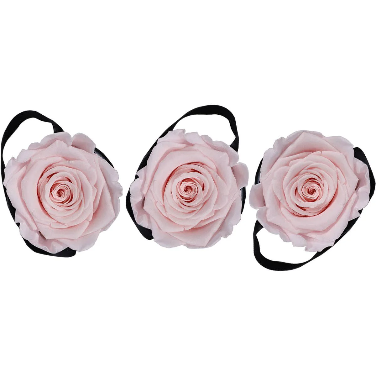 Rose Forever - Pink roses mini - Image 2