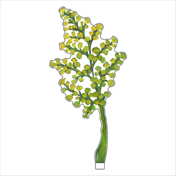 Small Acrylic Flower - Image 12