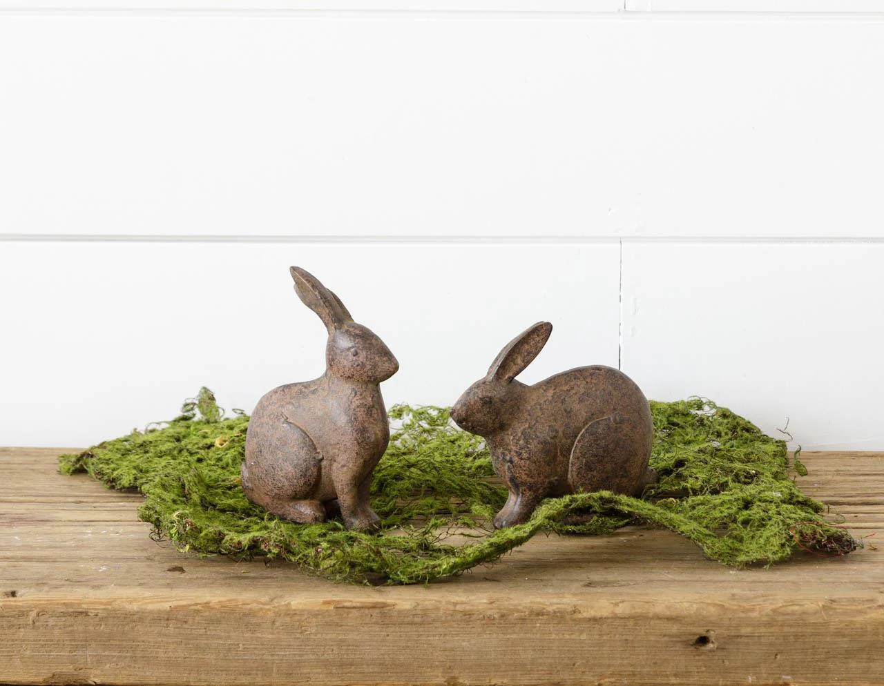 Small Brown Bunnies - Sitting