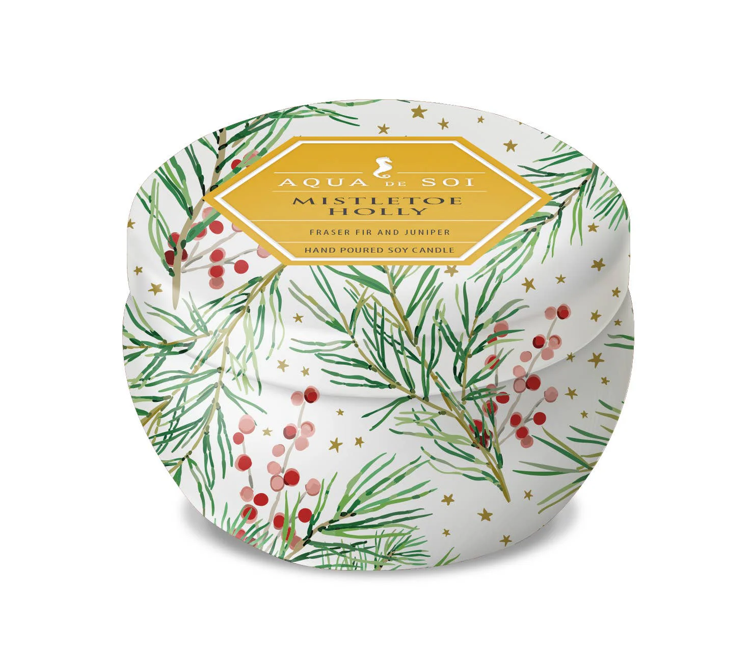 The SOi Company - Mistletoe & Holly  9oz Aqua De SOi Tin