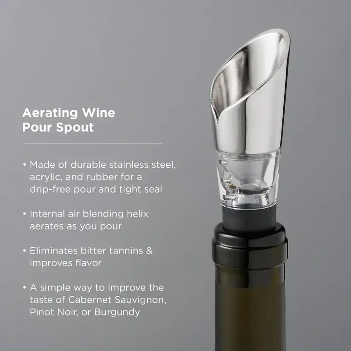Viski - Harrison Polished Stainless Steel Aerating Pour Spout - Image 4
