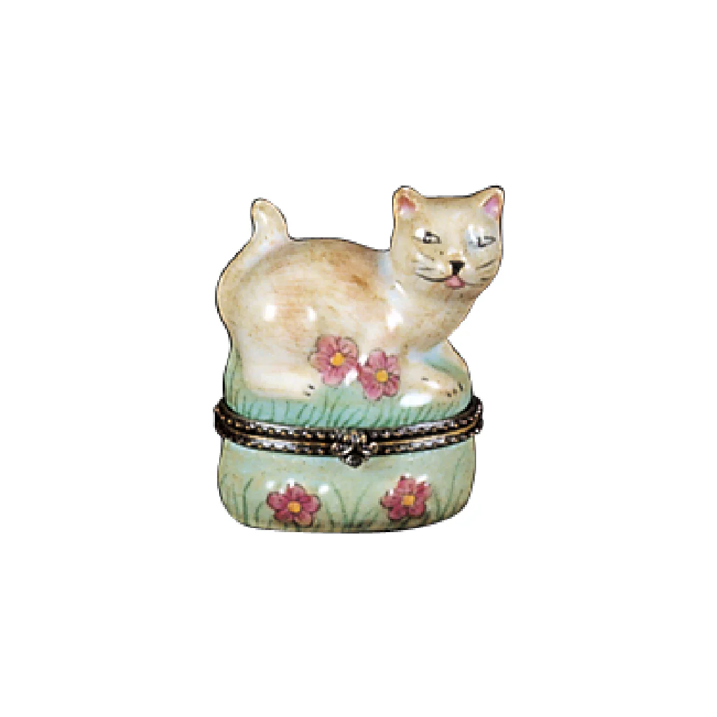 WHITE CAT