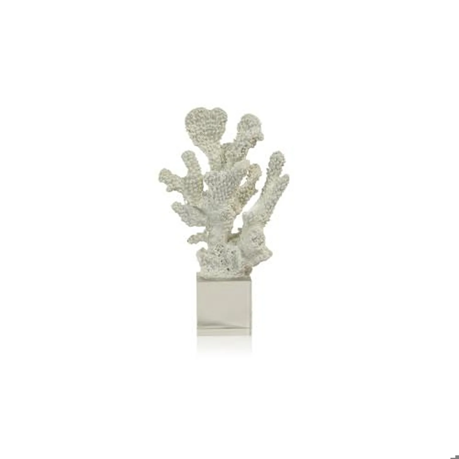 White Coral on Acrylic Base